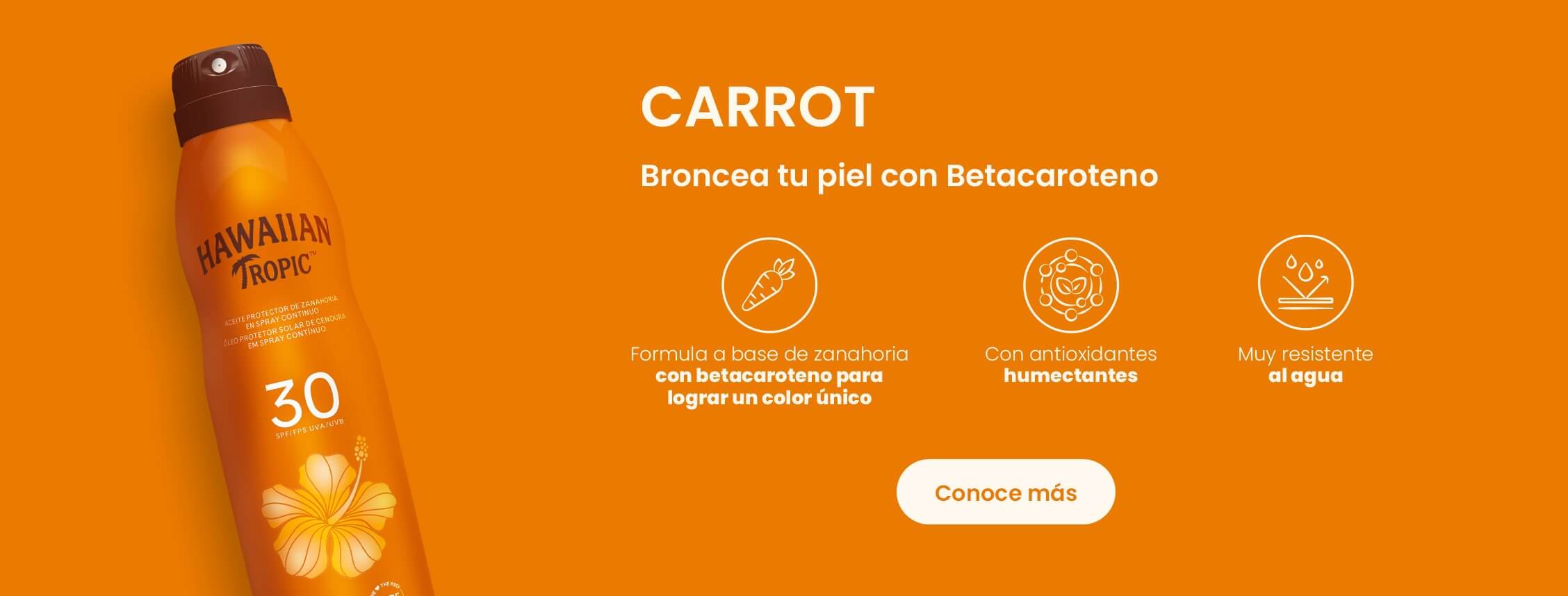 carrot